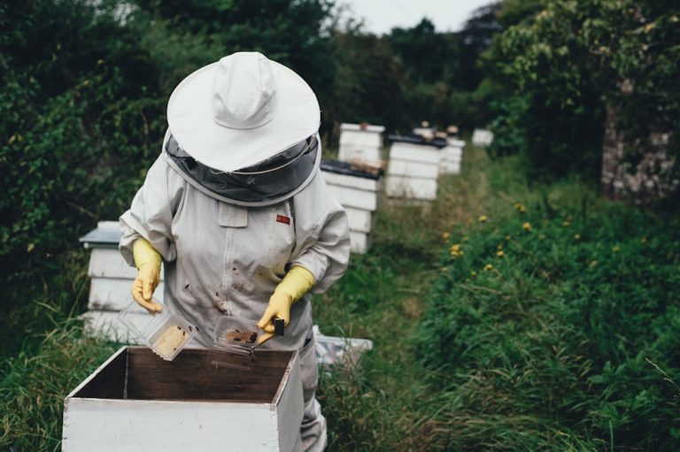 Photo Protective gear